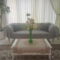 میز جلو مبلی همراه با عسلی ، فقط تماس پاسخگو هستم
