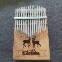 سلام سازکالیمبا فقط ساز هست