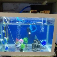 اکواریوم کامل