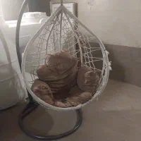 تاب ریلکسی نو