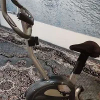 دوچرخه ثابت