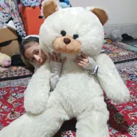 عروسک خرسی|اسباببازی|شیراز, کوشک میدان|دیوار