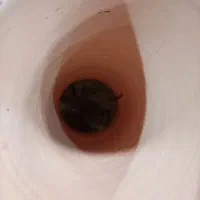 طبل (دری)|درام و پرکاشن|مرند, |دیوار