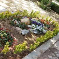 خدمات مهندسی باغبانی و کشاورزی