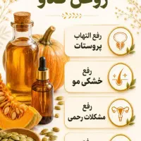 دعوت به همکاری ۵ بانوی فرهیخته وباانگیزه
