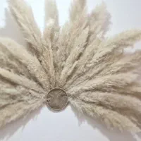 دیوارکوب رافیا|صنایع دستی و سایر لوازم تزئینی|شاهینشهر, عطار|دیوار