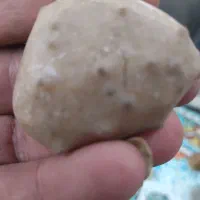 فروش سنگ فسیل|کلکسیون اشیاء عتیقه|گنبد کاووس, |دیوار