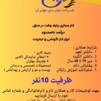 کار در منزل با گوشی