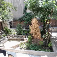 خوابگاه-دخترانه-تردد-آزاد