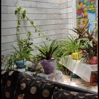 منزل ویلایی (معاوضه با آپارتمان یا مشارکت در ساخت)|فروش خانه و ویلا|شیراز, نصر|دیوار