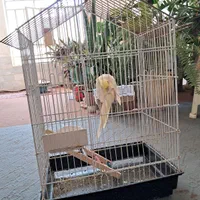 قفس پرنده