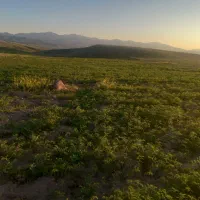 فروش قطعه زمین در اطراف سد بناب مرند|فروش دفتر صنعتی، کشاورزی، تجاری|مرند, |دیوار