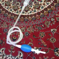 آکواریوم شیشه خم|ماهی|قزوین, |دیوار