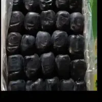 خرما دوردیفه