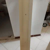 قاب مهتابی دو قلو