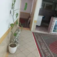 سوییت روزانه هفتگی ماهانه