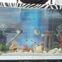 آکواریوم کامل و محکم