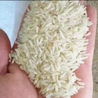 برنج طارم فروشی درجه یک