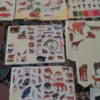 کتاب داستان کاغذ رنگی برچسب علوم ابتدایی همه ۲۰۰ت