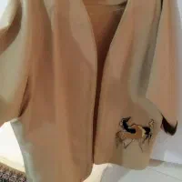 تعدای لباس در حد نو|لباس|گل تپه, |دیوار