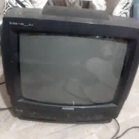 تلوزیون