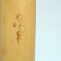 ساز نی
