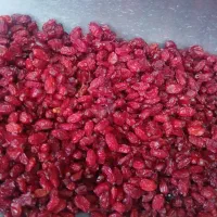 زرشک|خوردنی و آشامیدنی|کرج, نوروزآباد|دیوار