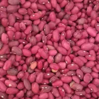 فروش لوبیا قرمز و چیتی.درجه یک|خوردنی و آشامیدنی|بزینه رود, |دیوار
