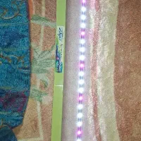 آکواریوم و لوازم