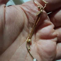 لنگه گوشواره گم شده