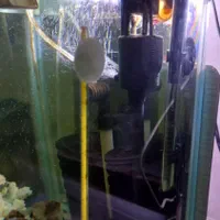 اِکواریوم باتمامیلوازم لوکسوماهی|ماهی|تبریز, |دیوار