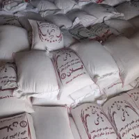 عرضه برنج های ایرانی باچک ۶ ماهه