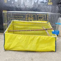 قفس طوطی و مرغ عشق