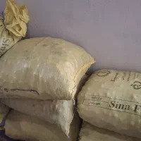 گردوی فسنجونی