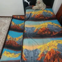 فروش تخت کشویی