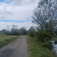 ۱هکتار شالیزارسنددار بررودخانه سنگررشت|فروش زمین و ملک کلنگی|سنگر, |دیوار