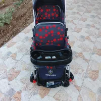 کالسکه دو قلو مارک دلیجان