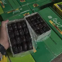خرما بم