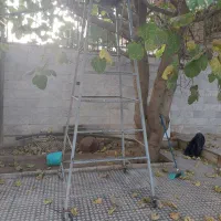 بند رخت آویزدار۳/۲۰|بندرخت و رخت‌آویز|کرمانشاه, |دیوار