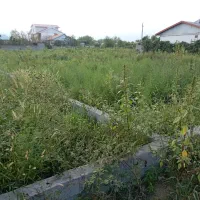 2500متر-مسکونی-کلا-بر-متری-7-بهترین-منطقه