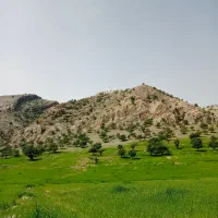 کانال فروشی در روبیکا