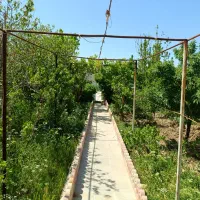 باغ ویلا