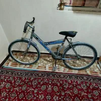 دوچرخه کوهستان|دوچرخه، اسکیت، اسکوتر|باوی, |دیوار