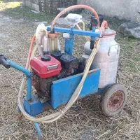 شیردوش سالم توافقی