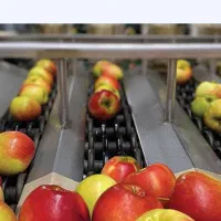 کار در سردخانه و سورتینگ