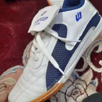 کتونی ‌وردکاپ سالنی