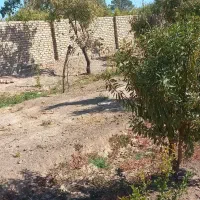 فروش یک قطعه باغ در اسلامیه|فروش خانه و ویلا|اسلامیه, |دیوار