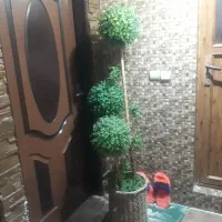 درختچه مصنوعی با گلدان حصیری|گل مصنوعی|آمل, |دیوار