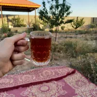 باغ فروشی ( نقد و اقساط)|فروش زمین و ملک کلنگی|مشهد, شیرحصار|دیوار