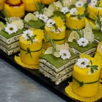 خدمات مجالس تشریفات